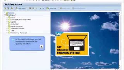 SAP CO Product Cost Controlling  Material Cost Estimates