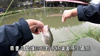 [Taiwan Pool Fishing] 2019 林口小魚夫休閒池尋鱸趣