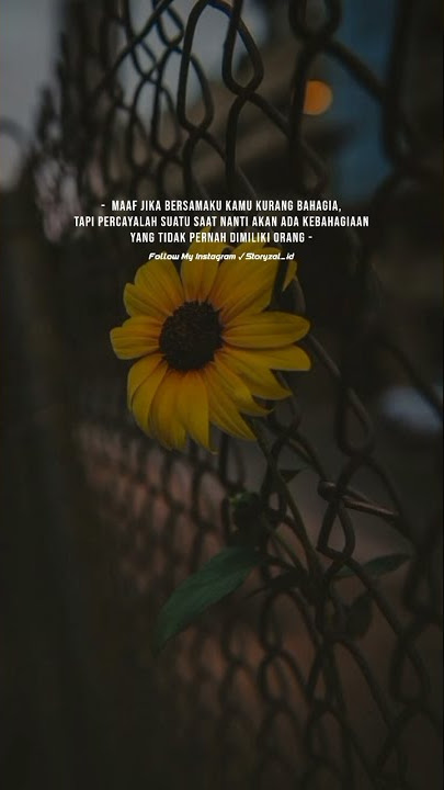 Adista - Perasaanku || Story WA