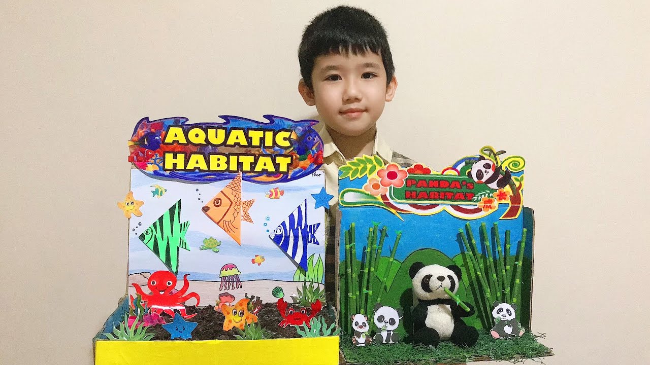 Animal Habitats Project (Panda Habitat and Aquatic Habitat)