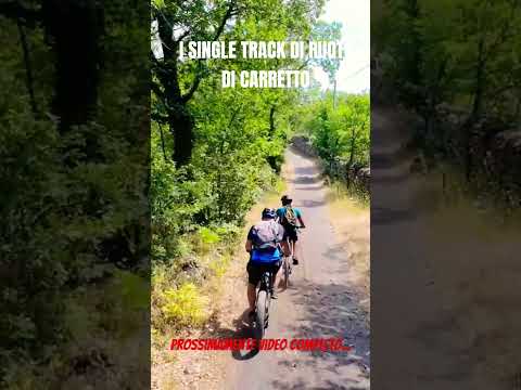 #singletrack #etna #sicilia #mountainbike #natura #montirossi