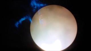 Perth Partial Solar Eclipse 2:42pm 29/04/14