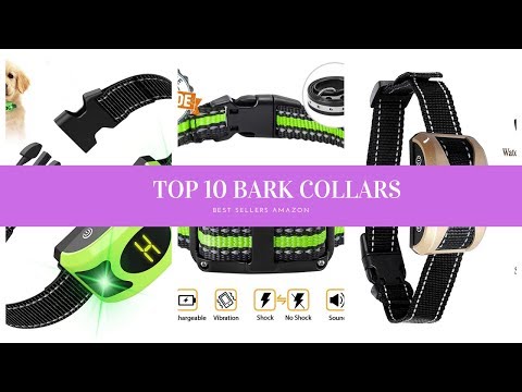 ✔️-top-10-best-bark-collars-
</div>
</div>
<div class=
