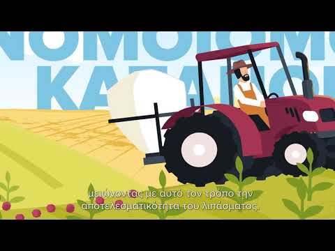 Βίντεο: Πληροφορίες για την καλλιέργεια σίτου: Συμβουλές για τη φροντίδα των κόκκων σίτου στην πίσω αυλή