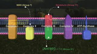 Inatreq Active Resistance Management