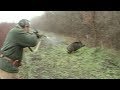 Hunting Serbia - Wild boar 1 | Lov na divlju svinju