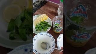 How make in 5 minutes refreshment drinks