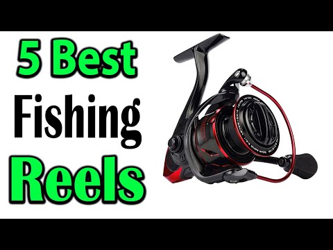 TOP 5 Best Fishing Reels Review 2024