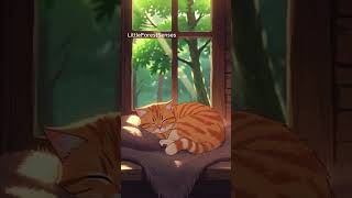 Sunbeam Cat Nap ☀️ Cozy Sensory Video for Kids | Low Stimulation #calmingforkids #sensoryshorts