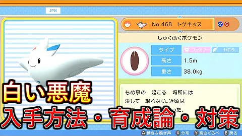 トゲキッス ポケモン タイマン