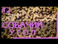 Собачий угол выпуск №2 Что будет с ценами на зоотовары