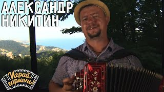 Кадриль | Александр Никитин (г. Кемерово) | Играй, гармонь!