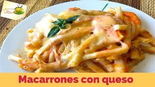 Macarrones con queso receta para chuparse los dedos RECETAS NAVIDEÑAS DELICIOSAS