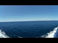 VR 360° Vapurda Martılar Uçarken - Ship and Seagulls