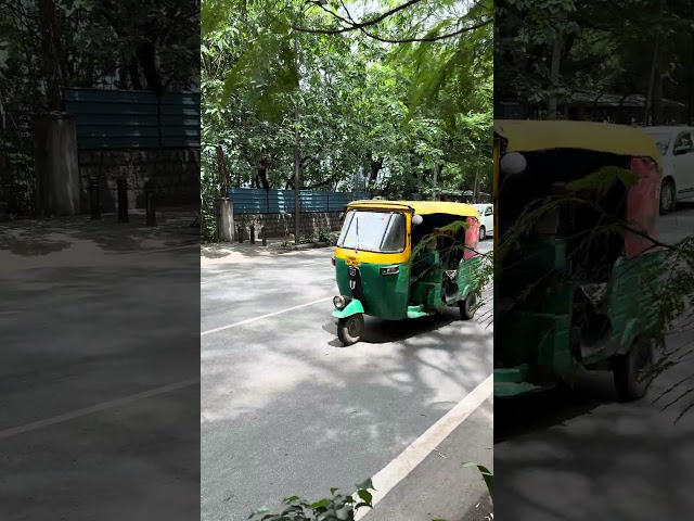 Cow Walking in Road in Bengaluru