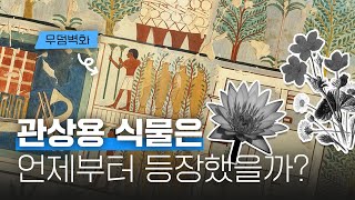 관상용 식물은 언제부터 등장했을까?🌱 실내식물의 역사