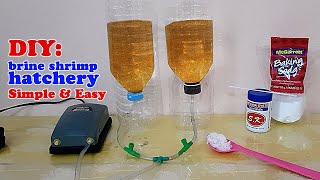 HOW TO: DIY brine shrimp hatchery | Simple & Easy, yet Very Efficient! (Artemia Cysts) screenshot 5