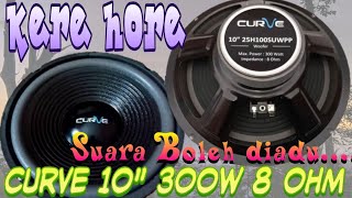 Reviewing a 10-inch Curve woofer speaker: cheap but booming