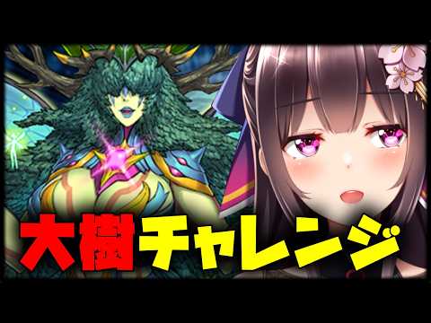 大樹チャレンジ！！！やるぞ！【Vtuber/雑談】【パズドラ】