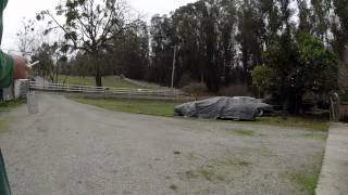 Taking Flight - This Is Fun