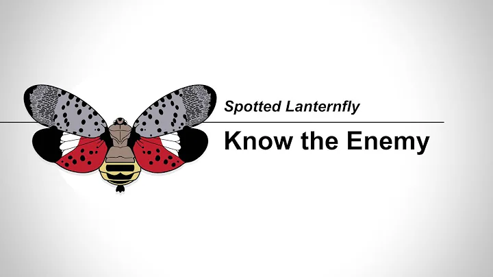 SLF States: 1-3 Know the Enemy