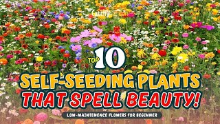 TOP 10 SELFSEEDING PLANTS THAT SPELL BEAUTY!  // Gardening Ideas