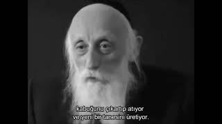 Bir insanın büyümesi