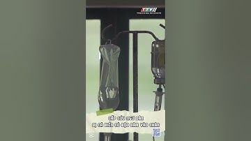 CẤP CỨU NGƯ DÂN BỊ CÁ BIỂN CÓ ĐỘC ĐÂM VÀO CHÂN