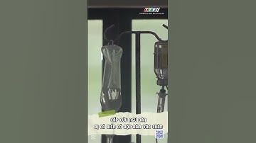 CẤP CỨU NGƯ DÂN BỊ CÁ BIỂN CÓ ĐỘC ĐÂM VÀO CHÂN