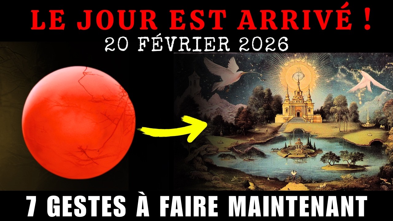 20 Février 2026 : ON Y EST. Voici Exactement Quoi Faire Maintenant
