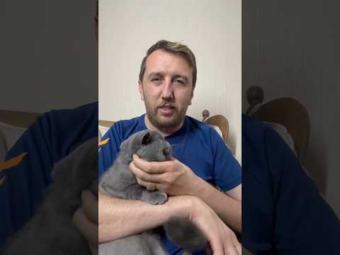 Bitcoin Türkiye CEO’su