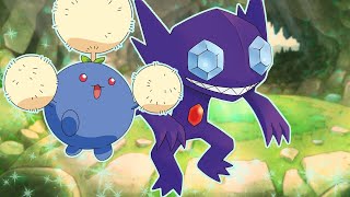 Sun Support Mons That Are Extremely Hard To Deal With (Series 3 VGC)