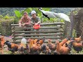 Quan and Tu Sinh's Daring Farm Venture SHOCKS Their Mother