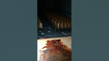 We should have never entered 💀