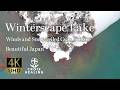 【Winterscape Lake】Restless Winds and Snow-veiled Cyan Surface Soothing Moments: BGM & BGV