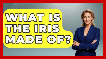 What Is The Iris Made Of? - Optometry Knowledge Base