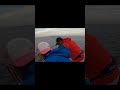 いくら丼のために北海道でシャケ釣り！