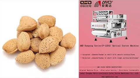 AMD Dried Fruits/Nuts Optical Color Sorter Machine Price for American Almonds/Badam in Shell Sorting