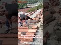 Spanish roof tiles are natural in color, simple and elegant in design.