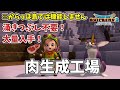 ★からっぽ島NG★固定コメント必読★生肉大量入手！湧きつぶし不要！肉生成工場　「ついで」に経験値も ★無限ギラタイルやり直しは敵の出現をリセットする為！！