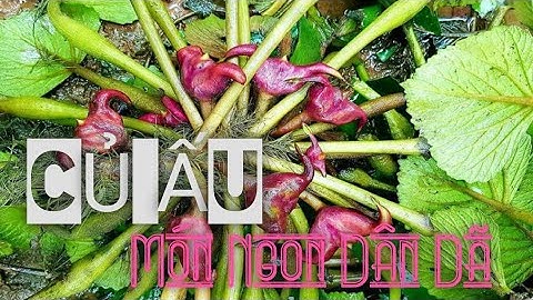 #LiepPIG Củ Ấu Luộc _ Món Ngon Dân Dã Miền Tây