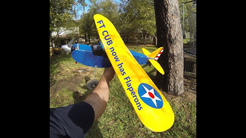 FT SIMPLE CUB with Flaperons