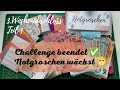 💸 Wochenabschluss Januar 💸hohe zusätzliche Einnahmen 💸 Notgroschen wächst 🥰