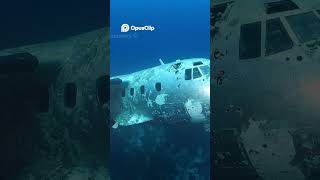 Sunken Plane Wreckage - Salvage Team's Deep Dive Discovery! #shorts #salvageoperations #titanic