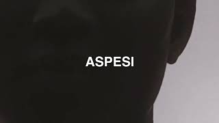 ASPESI SS26