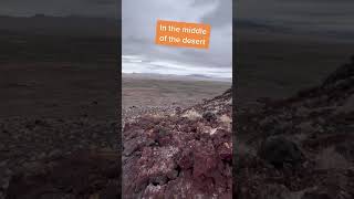 Climbing a volcano in the desert.