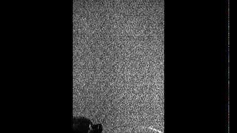 Observing Dynamic Flow using BO Schlieren method in a toaster