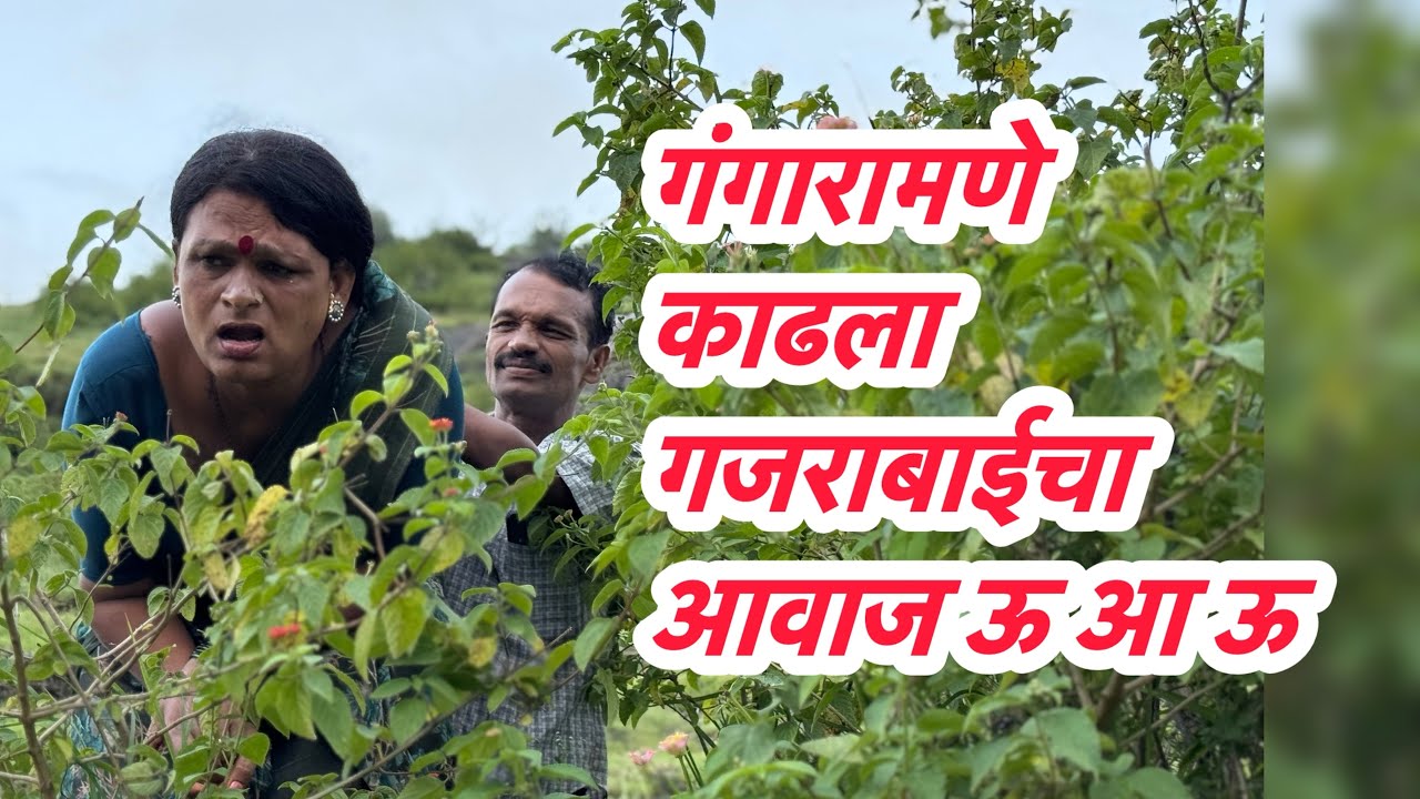 गंगारामणे गजराबाई कणवली ऊआ💋 🤪 गजराबाई ची कॉमेडी gajrabai comedy 