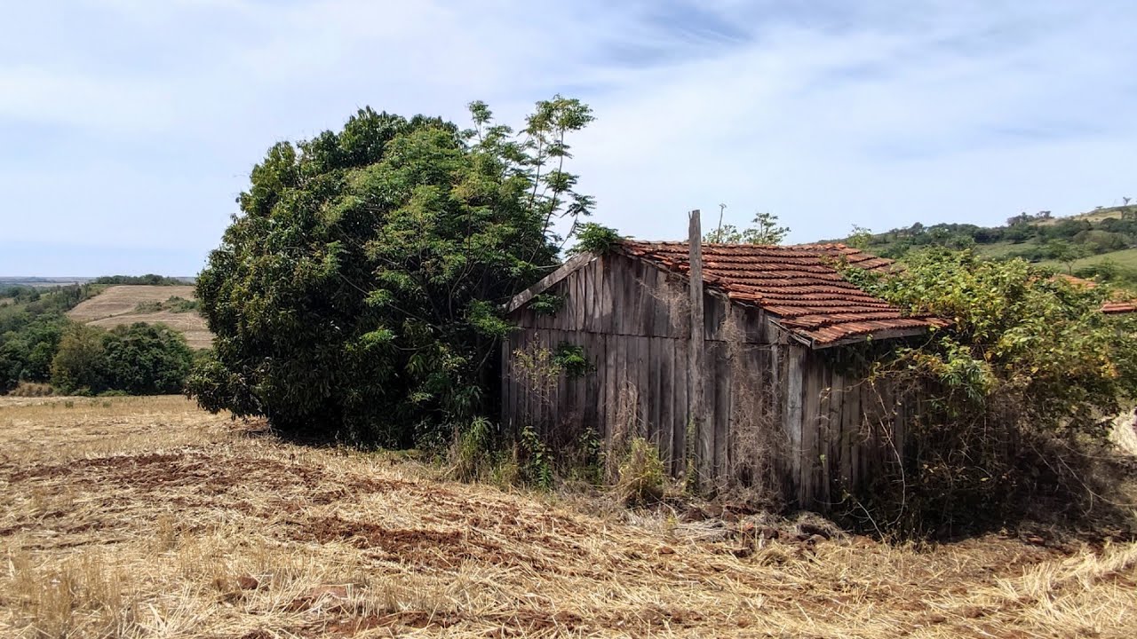 Filha Fala Pra Mãe que o Marido Era Muito Sujo, Então a Sogra Resolveu Ajudar e Deu Problema