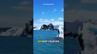Beautiful natural wonders you should avoid